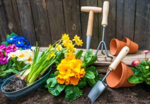 Gartenpflege In Frhjahr Und Sommer Was Ist Wann Zu Tun Plantura