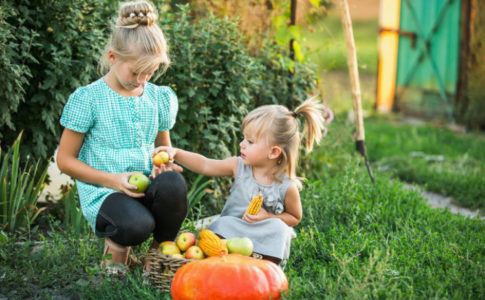 Zwei Kinder, die im Garten Obst und Gemüse sammeln